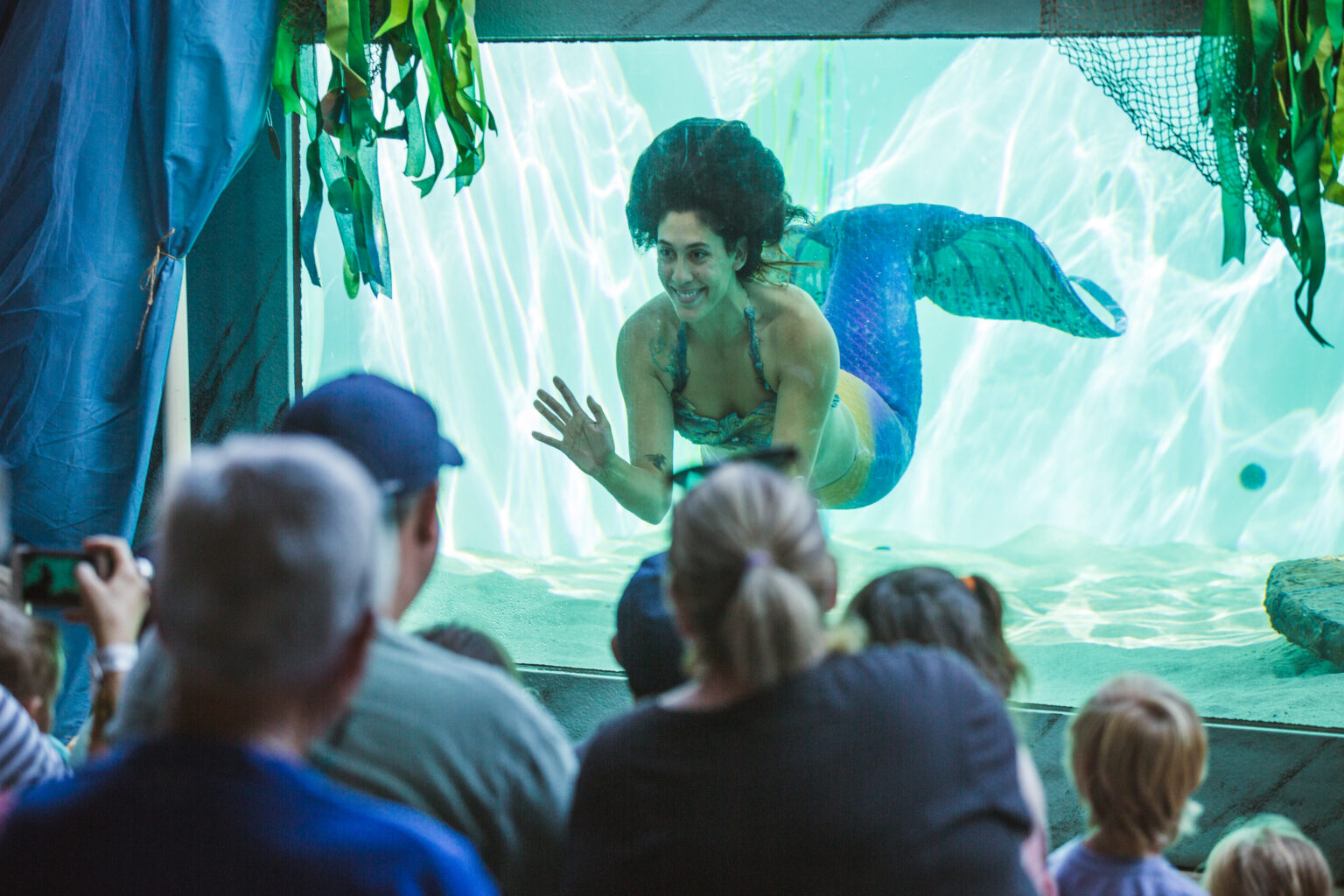 Mermaid Experiences - Ocean Institute